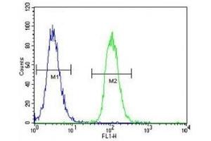 MITF antibody flow cytometric analysis of K562 cells (right histogram) compared to a negative control (left histogram) (MITF anticorps  (AA 1-28))