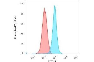 Flow Cytometric Analysis of K562 cells using Moesin Mouse Monoclonal Antibody (MSN/491) followed by Goat anti-Mouse IgG-CF488 (Blue); Isotype Control (Red).
