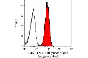 Flow Cytometry (FACS) image for anti-Bromodomain Containing 7 (BRD7) (AA 150-200) antibody (ABIN7449350) (Recombinant BRD7 anticorps  (AA 150-200))