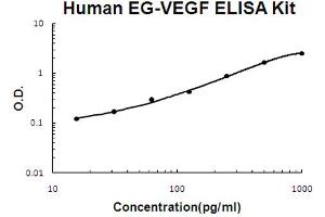 Human EG-VEGF Accusignal ELISA Kit Human EG-VEGF AccuSignal ELISA Kit standard curve. (Prokineticin 1 Kit ELISA)