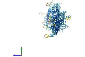 AlphaFold protein structure predicition of Human Recombinant ALS2CL Protein, UniprotID Q60I27