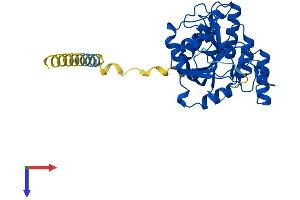 AlphaFold protein structure predicition of Human Recombinant B3GALT6 Protein, UniprotID Q96L58