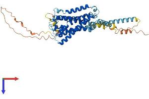 AlphaFold protein structure predicition of Mouse Recombinant Htr7 Protein, UniprotID P32304