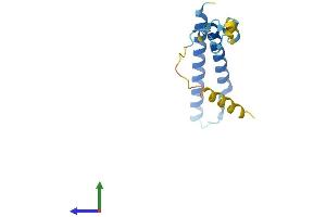 AlphaFold protein structure predicition of Human Recombinant MMGT1 Protein, UniprotID Q8N4V1