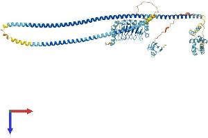 AlphaFold protein structure predicition of Human Recombinant LRSAM1 Protein, UniprotID Q6UWE0