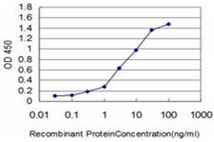 Detection limit for recombinant GST tagged KIAA2002 is approximately 0. (PEAK1 anticorps  (AA 1151-1250))