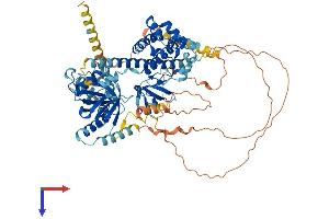AlphaFold protein structure predicition of Human Recombinant EPS8L2 Protein, UniprotID Q9H6S3