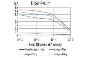 Black line: Control Antigen (100 ng),Purple line: Antigen (10 ng), Blue line: Antigen (50 ng), Red line:Antigen (100 ng) (FOLR1 anticorps  (AA 41-227))