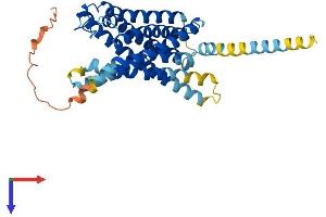 AlphaFold protein structure predicition of Mouse Recombinant Gpr87 Protein, UniprotID Q99MT7