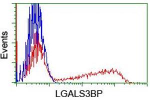 HEK293T cells transfected with either RC204918 overexpress plasmid (Red) or empty vector control plasmid (Blue) were immunostained by anti-LGALS3BP antibody (ABIN2454977), and then analyzed by flow cytometry. (LGALS3BP anticorps  (AA 19-300))