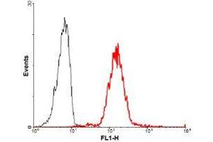 FACS staining of human Lymphocyte(CD4+) using anti-Jagged-1 (human), mAb (J1G53-3) (FITC) .