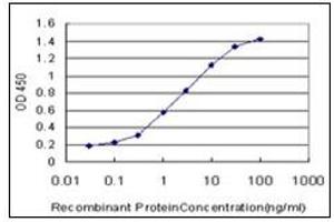 ELISA image for anti-SMAD Specific E3 Ubiquitin Protein Ligase 1 (SMURF1) antibody (ABIN781919)