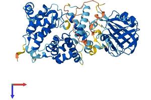 AlphaFold protein structure predicition of Human Recombinant TBC1D24 Protein, UniprotID Q9ULP9