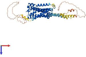 AlphaFold protein structure predicition of Mouse Recombinant Htr2a Protein, UniprotID P35363