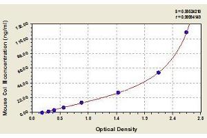 Typical standard curve (COL2 Kit ELISA)