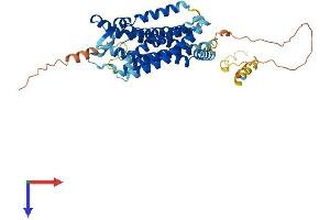 AlphaFold protein structure predicition of Mouse Recombinant Gpr151 Protein, UniprotID Q7TSN6