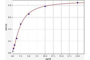 Typical standard curve (Contactin 4 Kit ELISA)