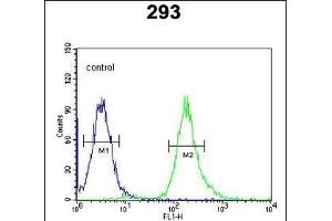 STX1A Antibody (N-term) (ABIN653770 and ABIN2843062) flow cytometric analysis of 293 cells (right histogram) compared to a negative control cell (left histogram). (STX1A anticorps  (N-Term))