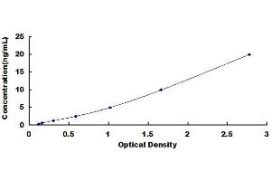 Typical standard curve (STAT5B Kit ELISA)