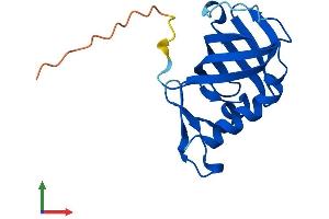 AlphaFold protein structure predicition of Mouse Recombinant Rmi2 Protein, UniprotID Q3UPE3