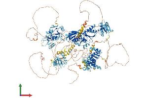 AlphaFold protein structure predicition of Mouse Recombinant Topbp1 Protein, UniprotID Q6ZQF0