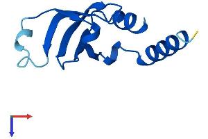 AlphaFold protein structure predicition of Mouse Recombinant Lsm2 Protein, UniprotID O35900