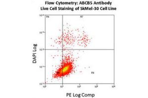 Flow Cytometry (FACS) image for anti-ATP-Binding Cassette, Sub-Family B (MDR/TAP), Member 5 (ABCB5) antibody (ABIN3002513) (ABCB5 anticorps)