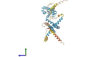 AlphaFold protein structure predicition of Mouse Recombinant Catsper4 Protein, UniprotID Q8BVN3