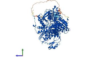 AlphaFold protein structure predicition of Mouse Recombinant Acly Protein, UniprotID Q91V92