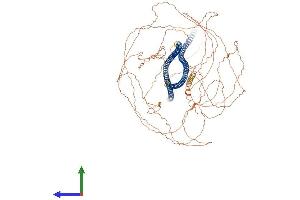 AlphaFold protein structure predicition of Mouse Recombinant Nefh Protein, UniprotID P19246