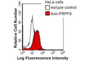 HeLa cells were fixed in 2% paraformaldehyde/PBS and then permeabilized in 90% methanol.