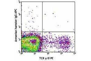 Flow Cytometry (FACS) image for anti-TCR V Gamma1.1/Cr4 antibody (APC) (ABIN2658408) (TCR V Gamma1.1/Cr4 anticorps (APC))