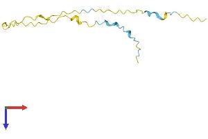 AlphaFold protein structure predicition of Human Recombinant GAGE2A Protein, UniprotID Q6NT46