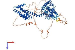 AlphaFold protein structure predicition of Mouse Recombinant Tcp11 Protein, UniprotID Q01755