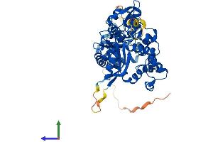 AlphaFold protein structure predicition of Mouse Recombinant Polm Protein, UniprotID Q9JIW4