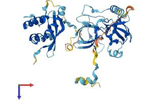 AlphaFold protein structure predicition of Human Recombinant NCF1 Protein, UniprotID P14598