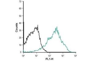 Cell surface detection of NK1 receptor in MEG-O1 living cells: (black line) Unstained cells.