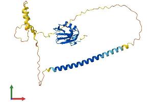 AlphaFold protein structure predicition of Human Recombinant RALYL Protein, UniprotID Q86SE5