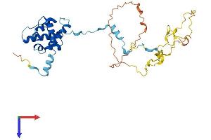 AlphaFold protein structure predicition of Mouse Recombinant Cnn3 Protein, UniprotID Q9DAW9