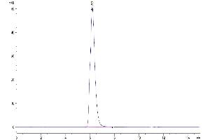 The purity of Human B7-H2 is greater than 95 % as determined by SEC-HPLC.