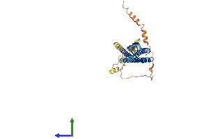 AlphaFold protein structure predicition of Human Recombinant GSG1 Protein, UniprotID Q2KHT4