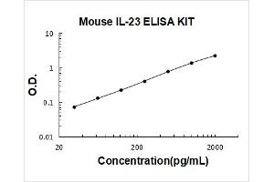 Interleukin 23, alpha subunit p19 (IL23A) ELISA Kit