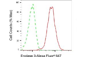Flow cytometric analysis of Enolase 3 expression in HepG2 cells using Enolase 3 antibody (ABIN7798451), 1:2,000).