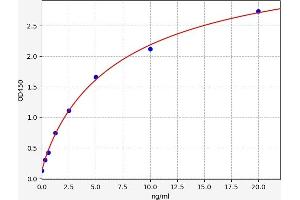Typical standard curve (CDH6 Kit ELISA)