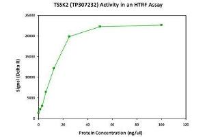 Bioactivity measured with Activity Assay (TSSK2 Protein (Myc-DYKDDDDK Tag))