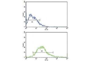 Flow cytometric analysis of MCF-7 cells using FGFR1 antibody (bottom histogram) compared to a negative control (top histogram). (FGFR1 anticorps  (AA 19-48))