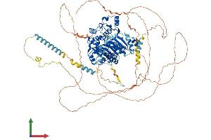 AlphaFold protein structure predicition of Human Recombinant DDX42 Protein, UniprotID Q86XP3