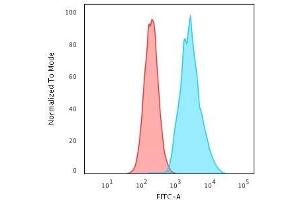 Flow Cytometric Analysis of Raji cells.