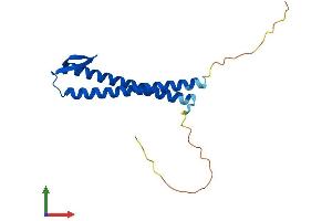 AlphaFold protein structure predicition of Mouse Recombinant Pfdn2 Protein, UniprotID O70591