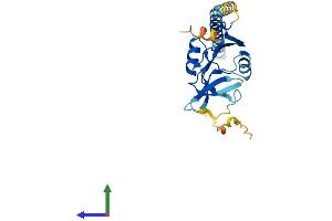 AlphaFold protein structure predicition of Mouse Recombinant Klrb1a Protein, UniprotID P27811